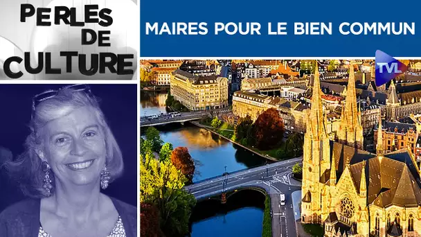 Miracle : il existe une association "Maires pour le Bien Commun" ! - Perles de Culture n°304 - TVL