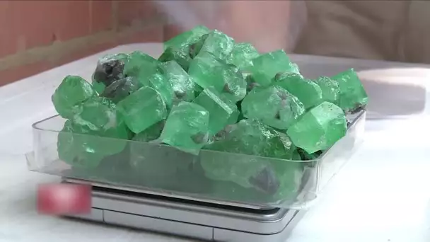 Émeraudes : à la poursuite du diamant vert