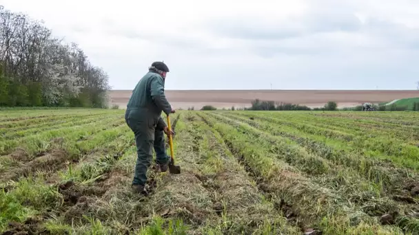 «Il nous manque 65.000 euros» : Ces aides promises par l'État aux agriculteurs bio et qui n'arriv…