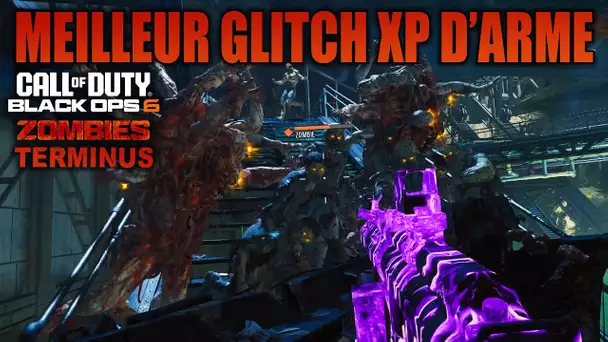 MEILLEUR GLITCH GOD MODE POUR XP ET XP D'ARMES ! (BLACK OPS 6 ZOMBIE TERMINUS)