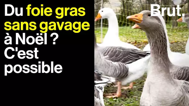 Marcel fait du foie gras sans gavage pour montrer que c'est possible