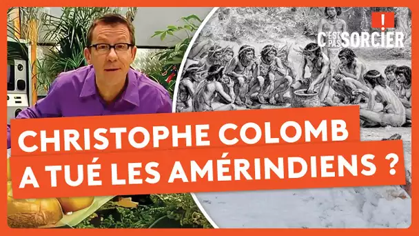 Christophe Colomb a tué les peuples amérindiens ? - C'est pas sorcier