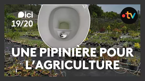 Faire pousser des plantes avec de l’urine ? l’étonnante solution écolo testée en France 💧🌾
