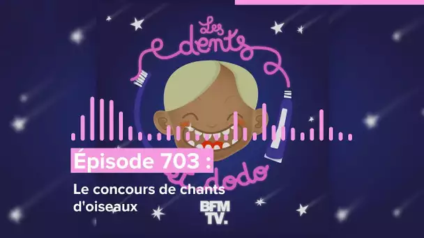 Les dents et dodo - “Épisode 703 : Le concours de chants d'oiseaux”