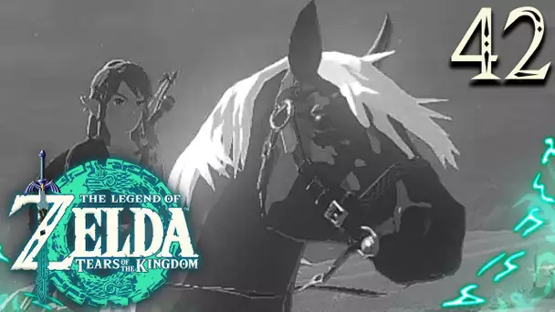 Zelda Tears of the Kingdom #42 : GROSSE ERREUR ... RIP