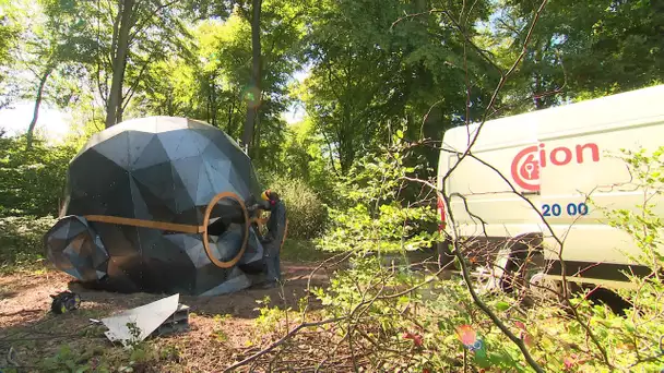 LYBO : Des œuvres monumentales dans la forêt verte près de Rouen et autres idées de sortie