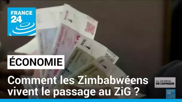 Zimbabwe : Le ZiG, nouvelle monnaie du pays • FRANCE 24