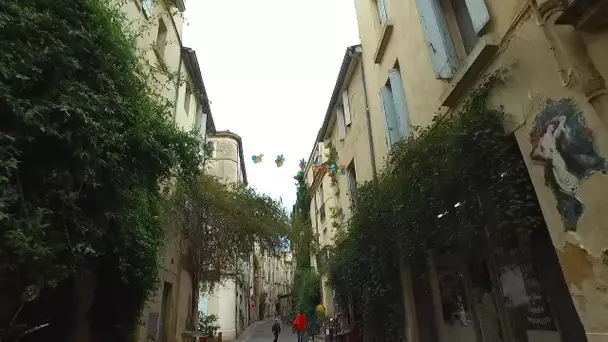 Ad'oc : fleurir son quartier à Montpellier grâce aux bons de végétalisation de la ville