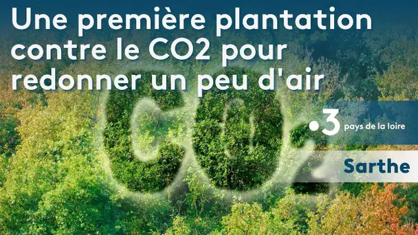 Une première plantation contre le CO2 à Marigné Laillé