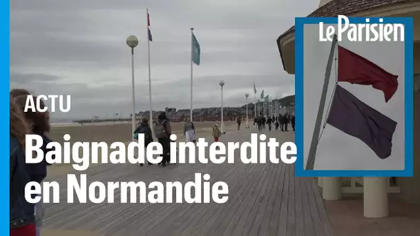 Deauville, Trouville... Baignade interdite après le débordement d'une station d'épuration