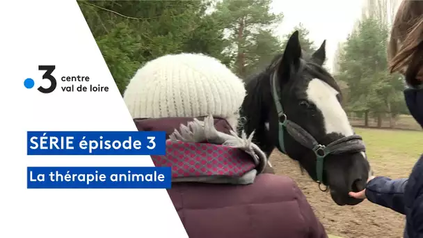 La thérapie animale : l'équithérapie