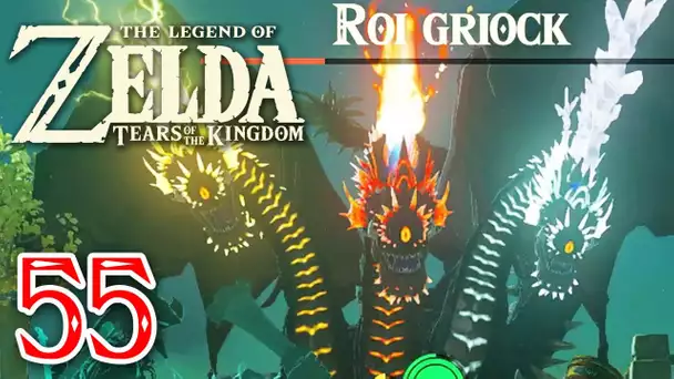 Zelda Tears of the Kingdom #55 | Le roi Griock
