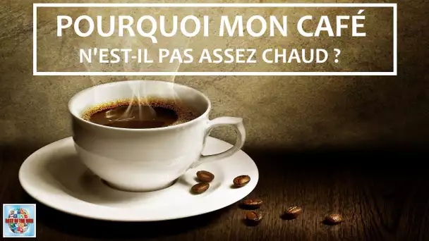 Pourquoi votre café refroidit trop vite - Explication et Solution