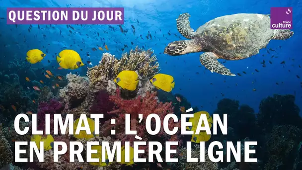 COP 27 : est-ce que nos dirigeants découvrent l’océan ?