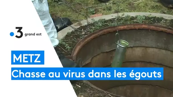Covid-19 : chasse au virus dans les égouts de Metz