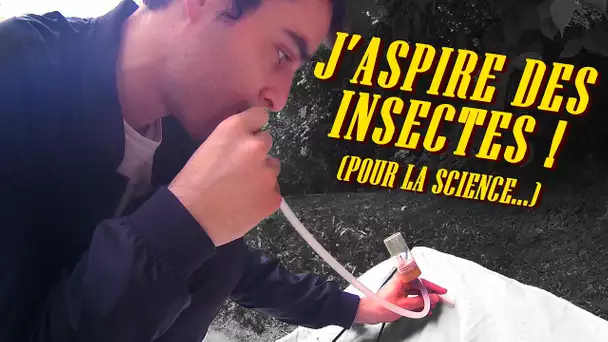 J'ASPIRE DES INSECTES ! (pour la science...)