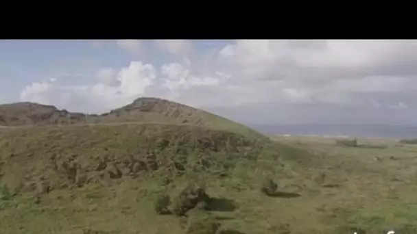 Chili, Île de Pâques : statues de l'Ahu Tongariki