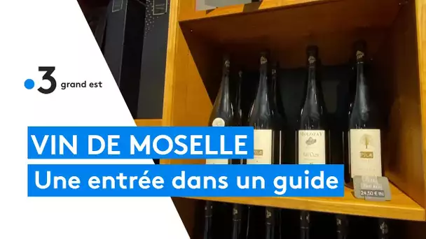Le domaine Molozay, premier vin de Moselle à figurer dans le guide des meilleurs vins de France