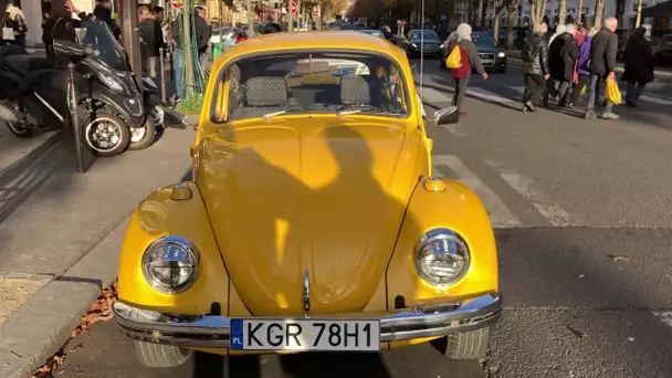 La coccinelle jaune ! ❤️