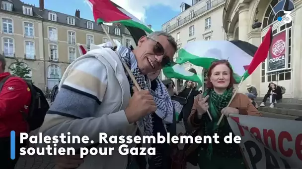 Palestine. Rassemblement de soutien pour Gaza