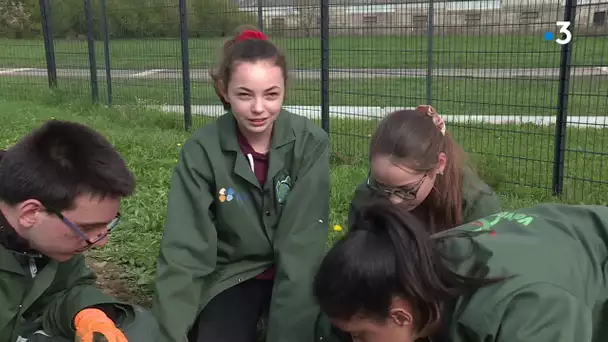 Haute-Garonne : des enfants handicapés apprennent à des collégiens à planter des arbres
