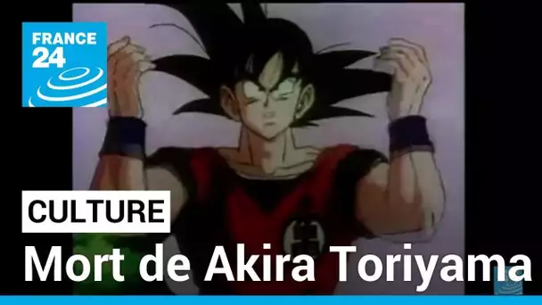 Mort de Akira Toriyama : Son Goku est orphelin • FRANCE 24