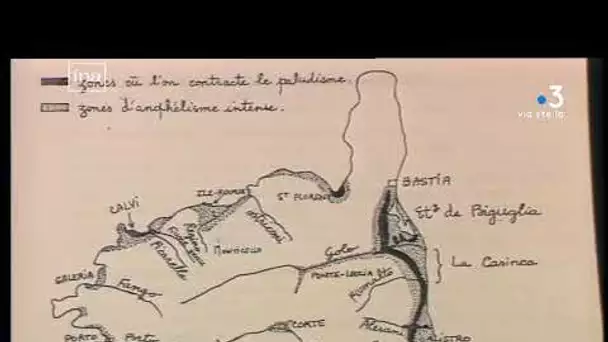 Coronavirus : il y a 100 ans, la Corse fait face à l’épidémie de grippe espagnole