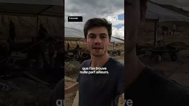 Avec ceux qui déterrent des dinosaures de plus de 20 mètres
