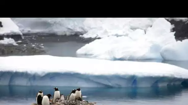 Record de température en Antarctique : plus de 20° enregistrés