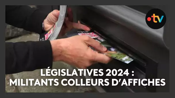 Législatives 2024 : au plus près des militants colleurs d'affiche