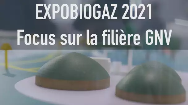 BioGNV : « Ne pas le considérer dans le mix énergétique serait une erreur »