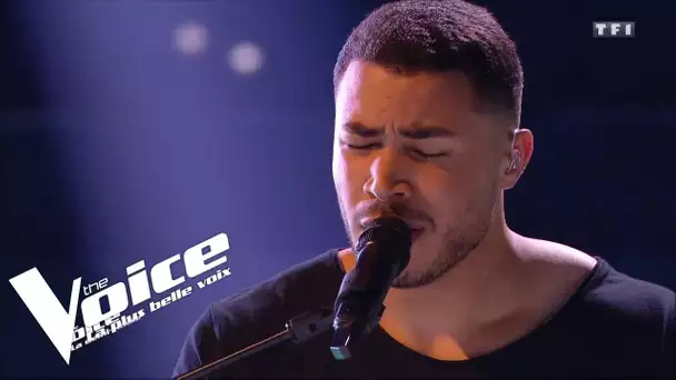 ColdPlay - The Scientist | Pierre Danaë | The Voice 2019 | Semi-final Audition