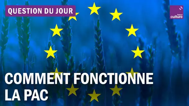 Comment fonctionne la politique agricole commune