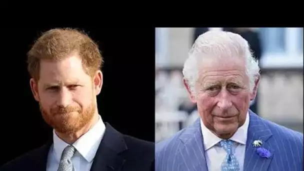 Harry « rend la vie du roi Charles une misère » et « le harcèle pendant des années »