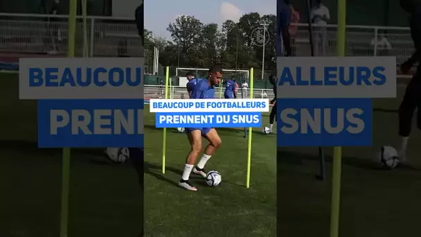 C’est quoi le snus, cette poudre utilisée par les footballeurs ?