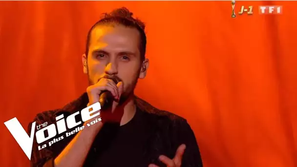 Michael Jackson - Earth Song | Clément | The Voice 2019 | Final