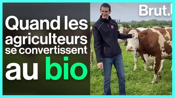 Tous agriculteurs, ils se sont convertis au bio