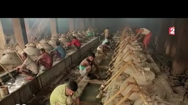 L&#039;explosion du marché des huiles essentielles