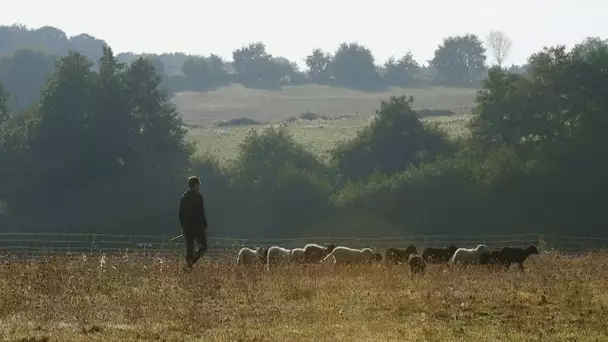 Nort sur Erdre / Bouguenais  : Vincent Cerclier et Terre & Bêêê