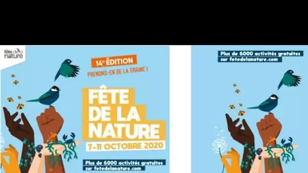 #ECM : La fête de la nature