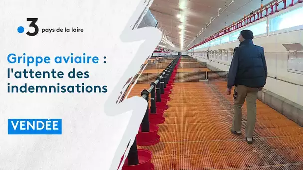 Grippe aviaire : les éleveurs toujours dans l’attente des décisions et des indemnisations promises