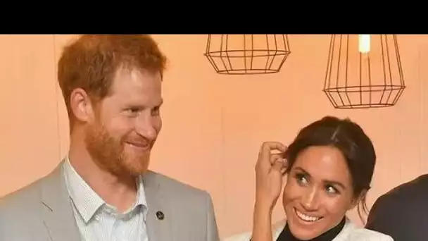 Le plan de Meghan et Harry visant à élargir les «visions créatives» est un pas «intelligent» vers le