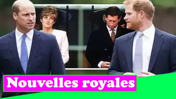 La quer.elle de Harry et William comparée à Charles et Diana: "Briefing wars"