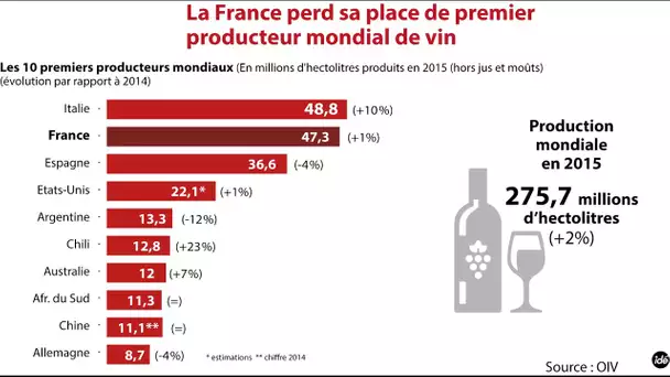 La France n'est plus le premier producteur de vin - L'Edito Eco