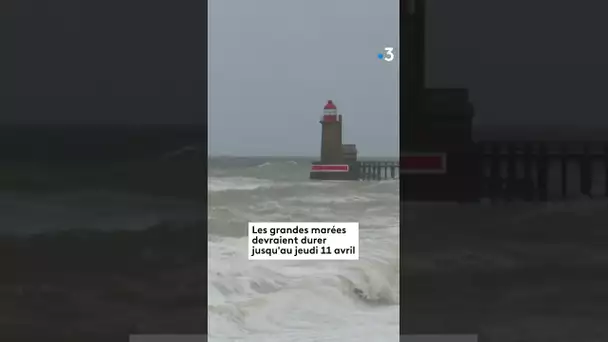 La Seine déborde (encore) à Rouen… et la tempête Pierrick fait rage à Fécamp. #normandie #tempête