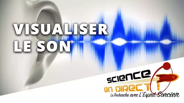 Visualiser les ondes sonores - Science En Direct