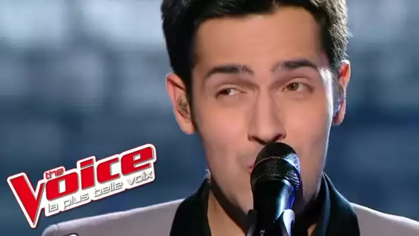 Stevie Wonder – Free | Yoann Fréget | The Voice France 2013 | Prime 4