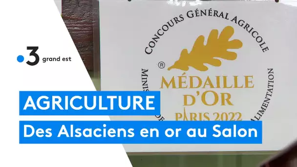 Des Alsaciens en or au Salon de l'Agriculture