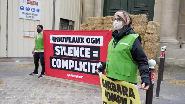 Nouveaux OGM : l'ONG Greenpeace installe un mur de paille devant le ministère de la Transition éco