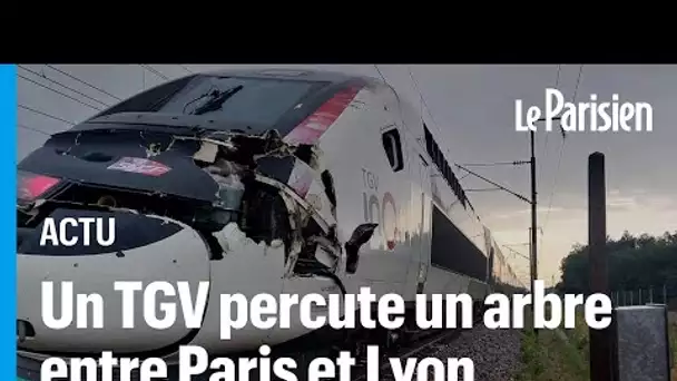 La ligne TGV Paris-Lyon fortement perturbée après des chutes d’arbres causées par des orages
